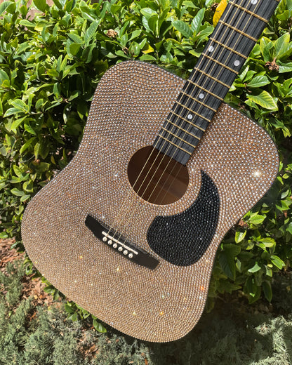 Custom Bling  Acoustic Guitar